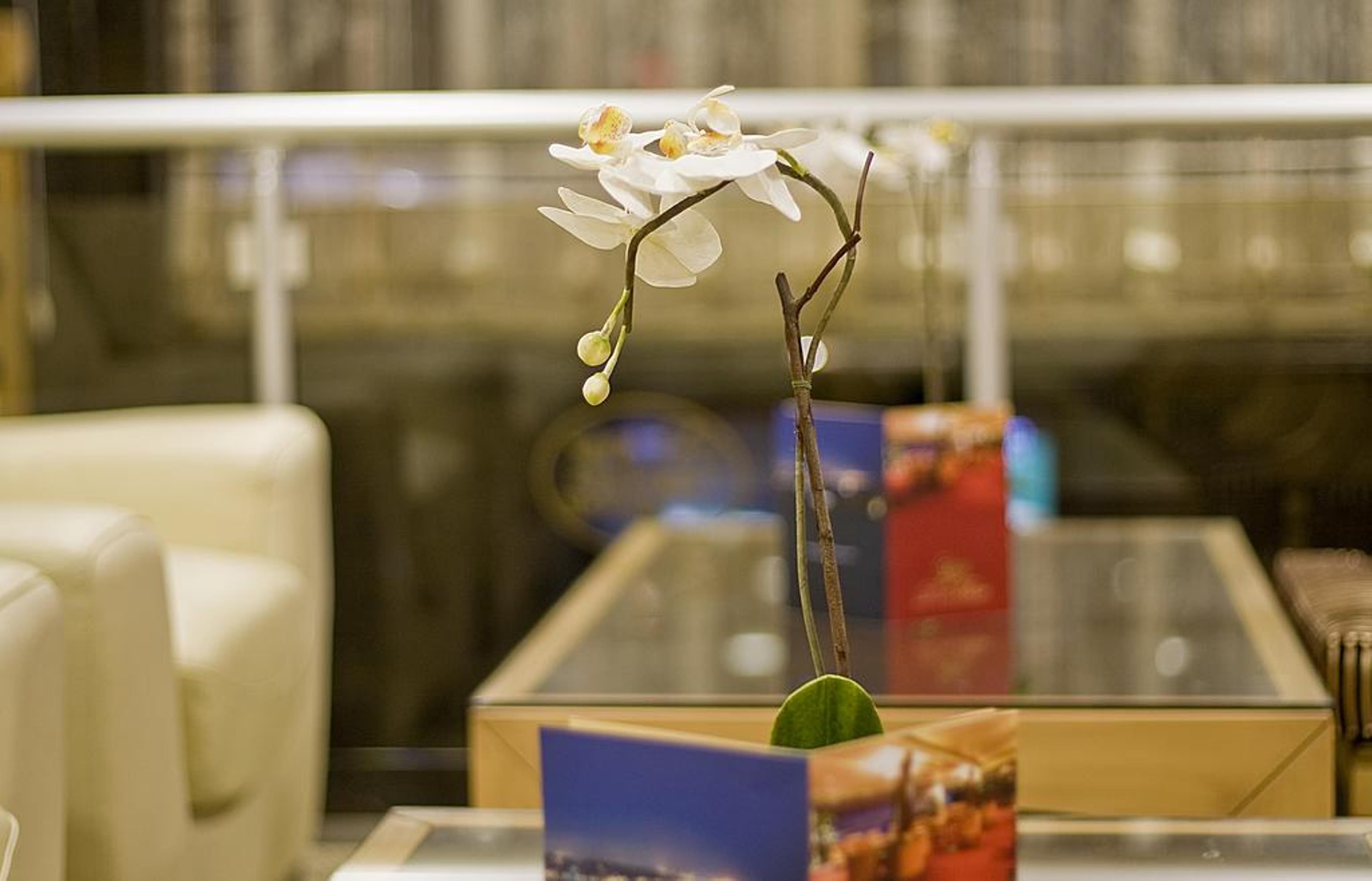 Park Star Hotel Taksim Istanboel Buitenkant foto